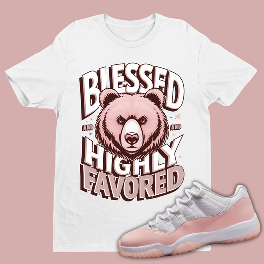 Blessed And Highly Favored Match Air Jordan 11 Retro Low