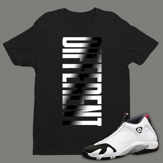 Different B Tee Match Air Jordan 14 "Black Toe"