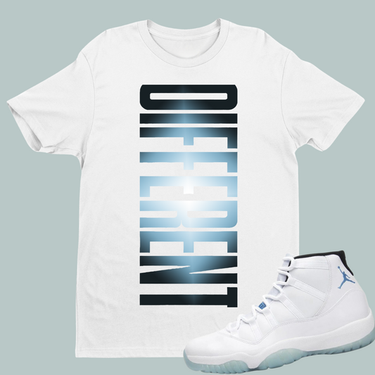 Different W Tee Match Air Jordan 11 “Legend Blue”