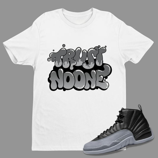 Trust No One Match Air Jordan 12 Barons